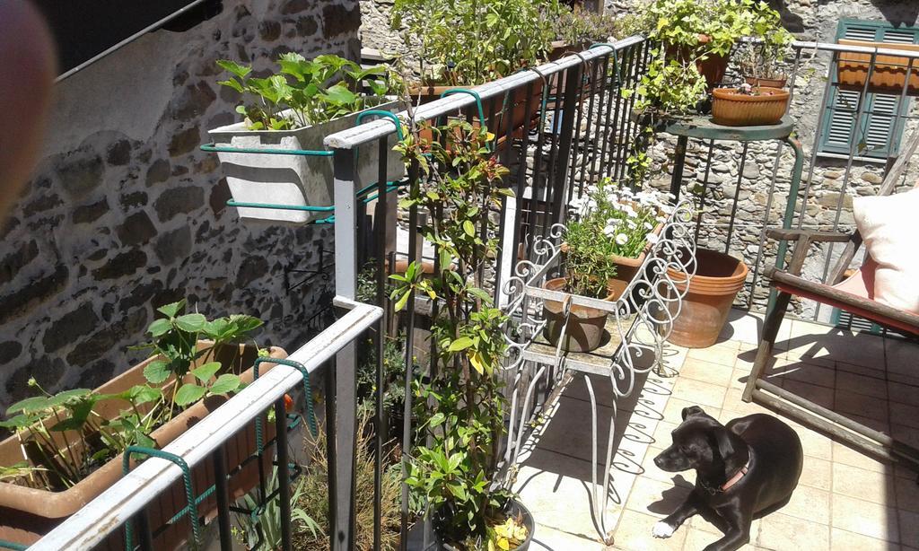 Casa Med Holiday Home Isolabona Екстер'єр фото