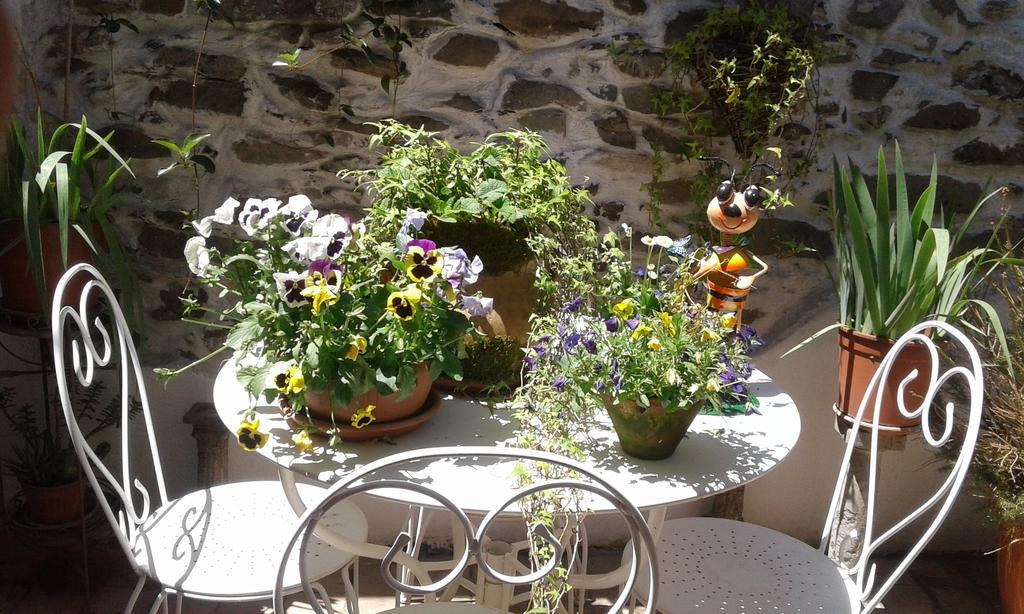 Casa Med Holiday Home Isolabona Екстер'єр фото